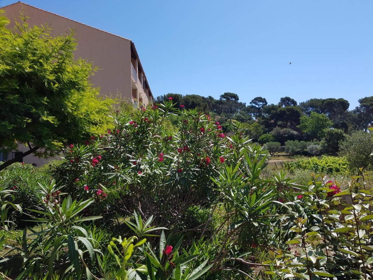 Studio Confortable Au Calme Proche Du Port Et De La Plage Grande Terrasse Et Parking Residence Le Grand Large Saint-Mandrier-sur-Mer Exterior foto